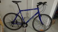 Specialized Sirrus Sport, 28 Zoll, 24 Gänge, 60 cm Rahmenhöhe Frankfurt am Main - Bornheim Vorschau