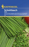 Kiepenkerl Schnittlauch - Nelly Gewürz Pflanze Garten Anbau Sachsen - Striegistal Vorschau