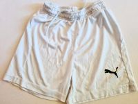 Puma Sporthose Fussballhose Trainingshose Schleswig-Holstein - Nortorf Vorschau