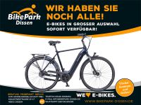 Batavus Elektro-Fahrrad Finez E-go Power 500Wh 5-Gang Riemen Niedersachsen - Dissen am Teutoburger Wald Vorschau