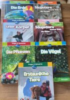 Kinderbücher Fragen und Antworten von Disney Baden-Württemberg - Künzelsau Vorschau