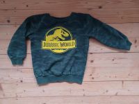 ❤️Jurassic World Pullover Grün Gr.122❤️ Niedersachsen - Friedland Vorschau