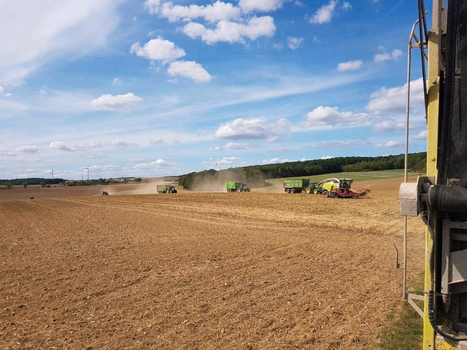 Agrarservice,Schlepper, Erdmulde, Tieflader mieten, Häckselwagen zu vermieten, Silagetransport, Mais transport, Mähen und Mulchen, Güllezubringer in Würzburg