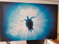 Ikea Bild Schildkröte türkis blau Niedersachsen - Wedemark Vorschau