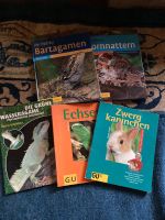 Bartagamen Kornnattern Echsen Reptilien Zwerg Kaninchen Bücher Niedersachsen - Asendorf (bei Bruchhausen-Vilsen) Vorschau