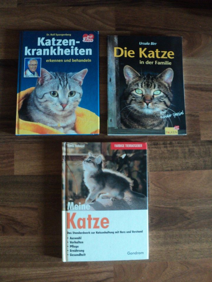 3 Bücher über Katzen neuwertig in Pirna