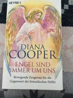 Engel sind immer um uns❤️Diana Cooper Bayern - Ingolstadt Vorschau