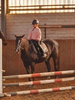 Reitunterricht für Kinder u Jugendliche Niedersachsen - Leese Vorschau