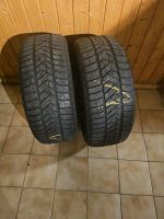 Pirelli Sottozero 205 50 17Winterreifen Reifen audi bmw skoda vw Rheinland-Pfalz - Ramstein-Miesenbach Vorschau