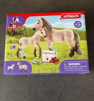 Schleich 42430 Erste Hilfe Set Rheinland-Pfalz - Mülheim-Kärlich Vorschau