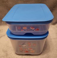 Tupperware Klima Oase Fleisch & Fisch blau Set Niedersachsen - Wesendorf Vorschau