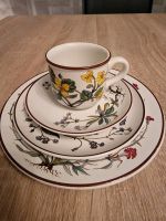 Original Geschirrset "Botanica" von Villeroy & Boch zu verkaufen Sachsen - Zwickau Vorschau