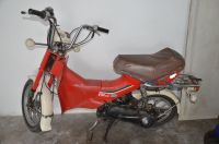 Honda PX L Mofa Moped PX-L Sondermodell! Bayern - Landshut Vorschau