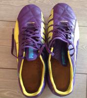 Fußballschuhe Puma Gr. 44 Mecklenburg-Vorpommern - Wilhelmsburg Vorschau