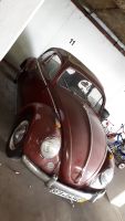 VW Käfer 1959 Dickholmer Faltdach Tüv / HU fällig 09.2024 Niedersachsen - Soltau Vorschau