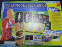 Der menschliche Körper - Galileo Spiel Nürnberg (Mittelfr) - Nordstadt Vorschau
