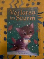 Kinderbuch: Verloren im Sturm Harburg - Hamburg Eißendorf Vorschau