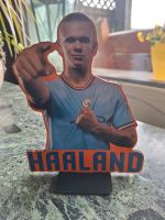 Erling Haaland - Pappaufsteller Aufsteller Figur Manchester City Kreis Ostholstein - Bad Schwartau Vorschau