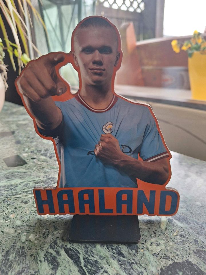 Erling Haaland - Pappaufsteller Aufsteller Figur Manchester City in Bad Schwartau