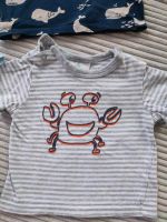 Baby Kind Topomini Shirt gestreift grau weiß Gr 68 Baden-Württemberg - Sersheim Vorschau
