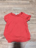 T-Shirt Baby Gr. 80 Kleidungspaket Nordrhein-Westfalen - Krefeld Vorschau