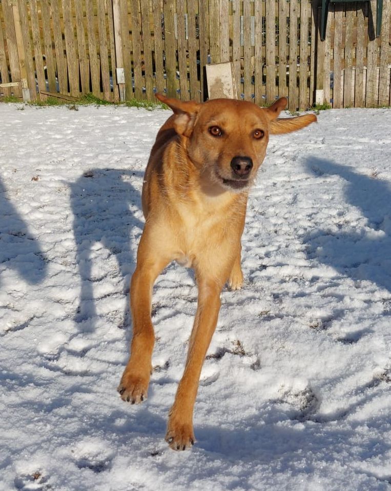 Sandy sucht ihr Glück für immer ! in Malente