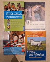 Pferdebücher Gesundheit Bodenarbeit Stress Fohlen Baden-Württemberg - Maulbronn Vorschau
