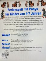Ferienspaß mit Ponys für Kinder von 4-7 Nordrhein-Westfalen - Hattingen Vorschau