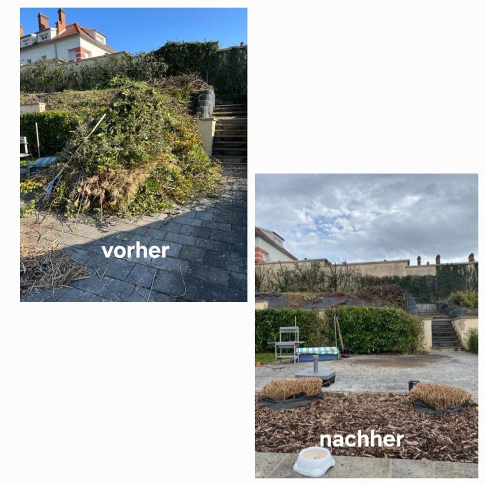 Gartenarbeiten / Heckenschneiden / Rasenmähen / Baumfällung in Saarlouis