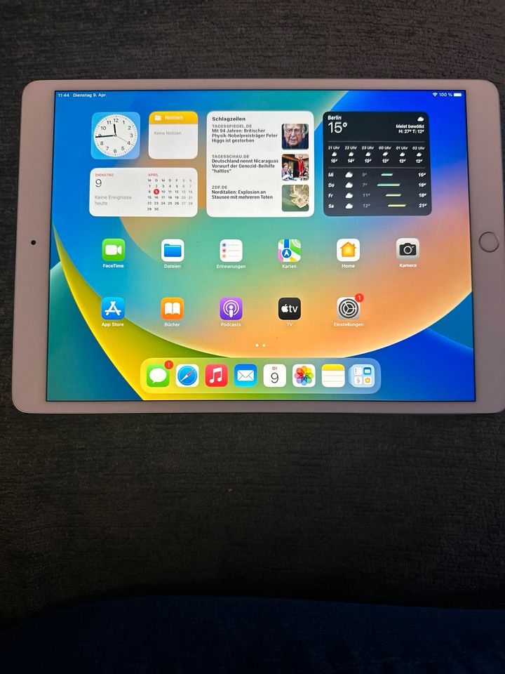 Apple iPad Pro A1701 (10,5 Zoll) 256GB in Grünwald