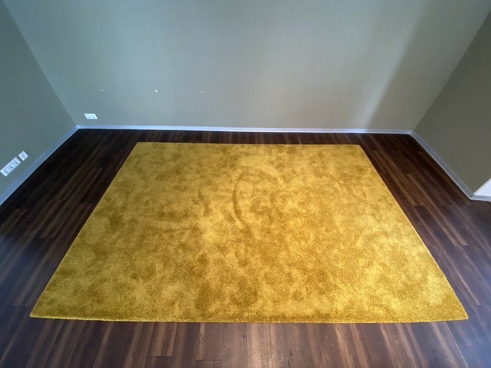 Object Carpet Teppich 2x3m Smoozy Goldgelb/Curry in Dortmund -  Innenstadt-Ost | Heimtextilien gebraucht kaufen | eBay Kleinanzeigen ist  jetzt Kleinanzeigen