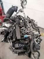 Motor Komplett SEAT Alhambra CUV CUVC 2.0 TDI 66.000km 184 PS Brandenburg - Küstriner Vorland Vorschau