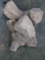Stein für Aquarium Nordrhein-Westfalen - Viersen Vorschau