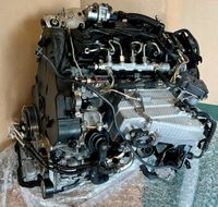 VW Audi Seat Skoda 2,0 TDI DFB Motor Triebwerk Engine Nordrhein-Westfalen - Dorsten Vorschau