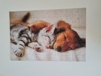 Puzzle Hund + katze 100 teile neuwertig Nürnberg (Mittelfr) - Schweinau Vorschau