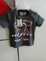 tumble n dry t shirt Brandenburg - Cottbus Vorschau