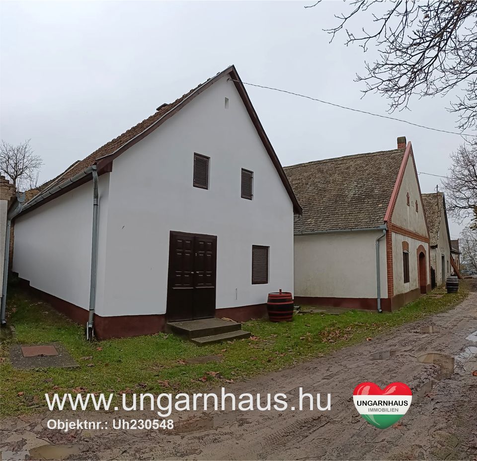 Ungarn , Südungarn ♥♥ Original Kellerhaus im schwäbischen Hajos ♥♥ Ratenkauf möglich in Freudenberg