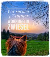 WOHNUNG IN ZWIESEL GESUCHT Bayern - Bodenmais Vorschau