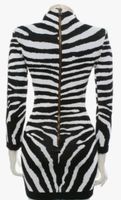 Balmain Kleid Grösse 36 Topzustand Zebra Animal Print Nordrhein-Westfalen - Witten Vorschau