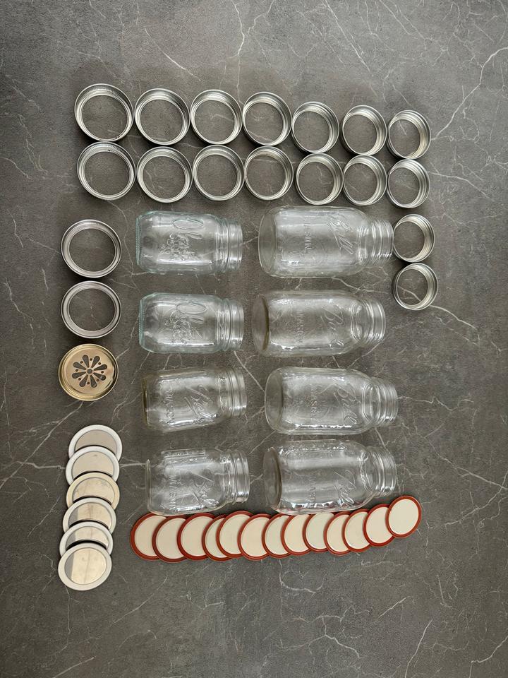 Oleni und Ball Mason Jars / Regular Mouth - Gläser und Deckel in Großschönau
