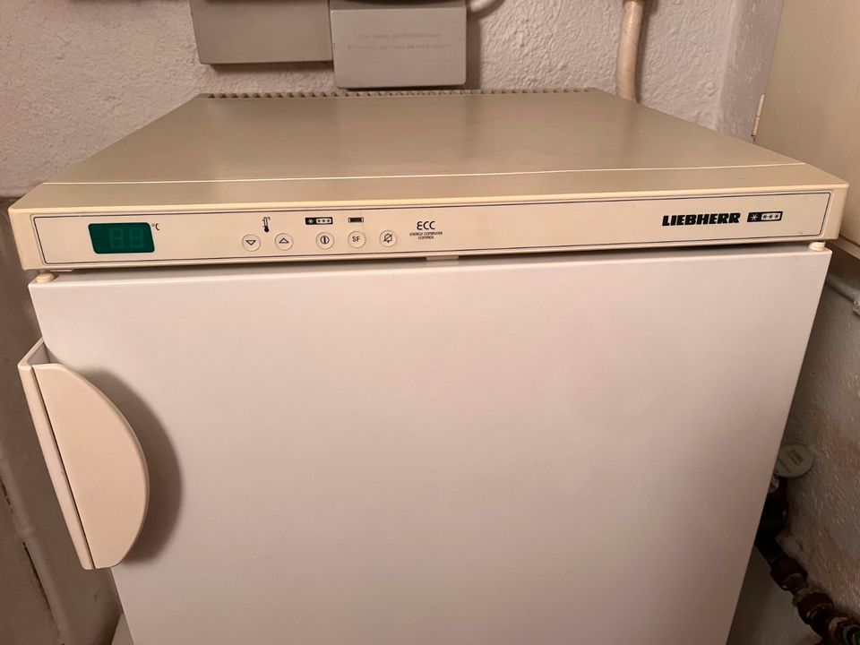 Großer Gefrierschrank von Liebherr (GS 2085 Index 23) in Berg