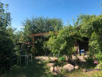 Toller Garten in Marienbrunn abzugeben wegen fehlender Zeit Leipzig - Connewitz Vorschau