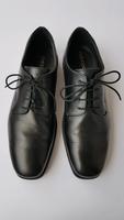 Geox schwarze Herrenschuhe Größe 40 Top-Zustand Schnürschuhe Hessen - Wiesbaden Vorschau