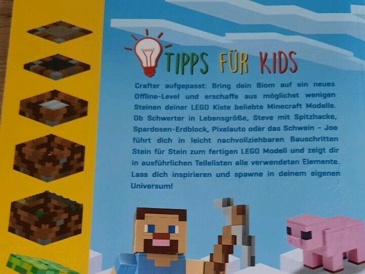 Minecraft lego Buch in Dortmund