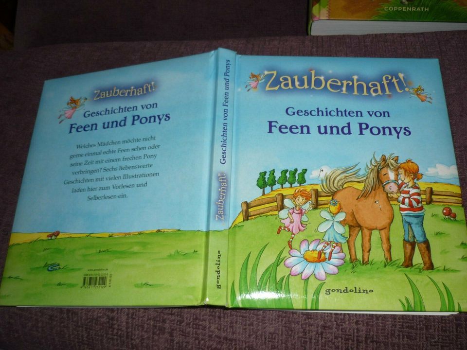 Zauberhaft - Geschichten von Feen und Ponys - Kinder- Jugendbuch in Plauen