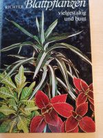 Richter "Blattpflanzen" vielgestaltig und bunt Hamburg-Nord - Hamburg Ohlsdorf Vorschau