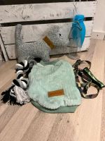 Hund Welpe Starter Set Nordrhein-Westfalen - Detmold Vorschau