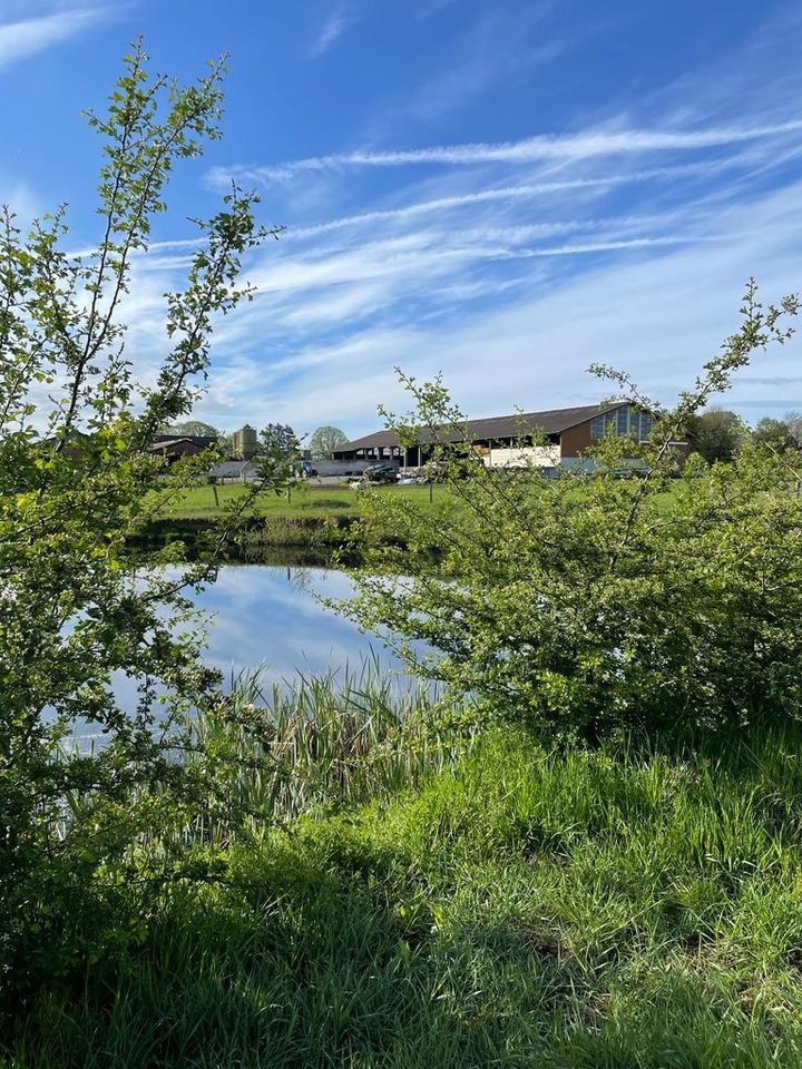 Landwirtschaftlicher Betrieb in Würselen