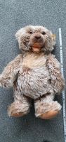 Sauberer, brummender Original Steiff-Teddy Zotty 50 cm Nordrhein-Westfalen - Haan Vorschau