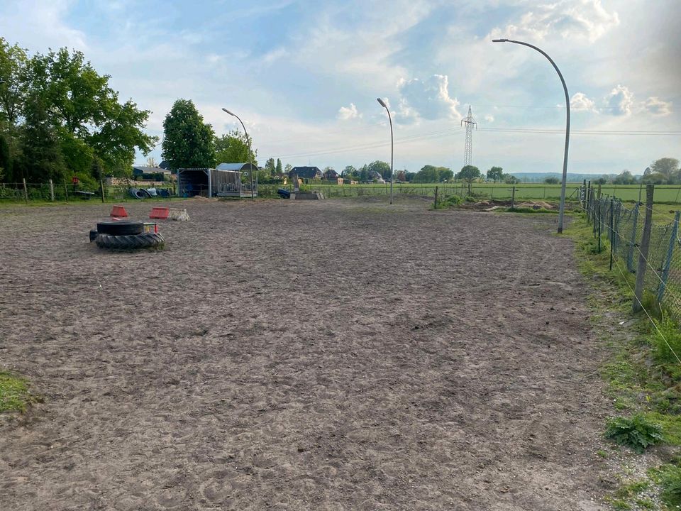 Freiwilliger Helfer für Hegearbeiten / Gartenarbeiten Pferdestall in Winsen (Luhe)